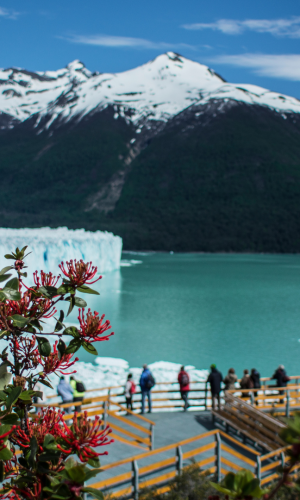 ARGENTINA - EL CALAFATE - 5