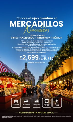 MERCADILLOS NAVIDEÑOS - (09D-08N) - Válido hasta agotar stock