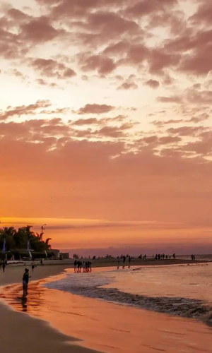 PLAYAS DEL NORTE - 2