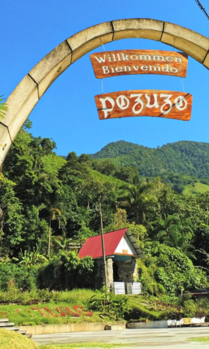 SELVA CENTRAL - POZUZO - 1