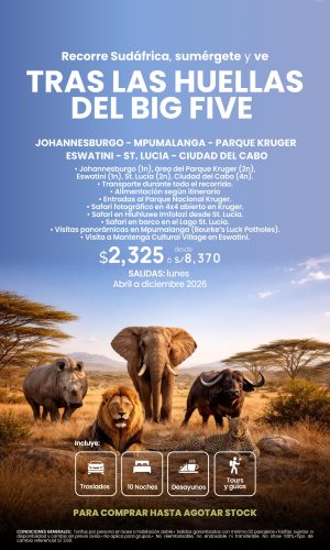 TRAS LAS HUELLAS DEL BIG FIVE - (10D-11N) - Válido hasta agotar stock