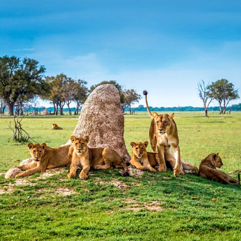 Instagram post from atipax_group. This post is in position 1.