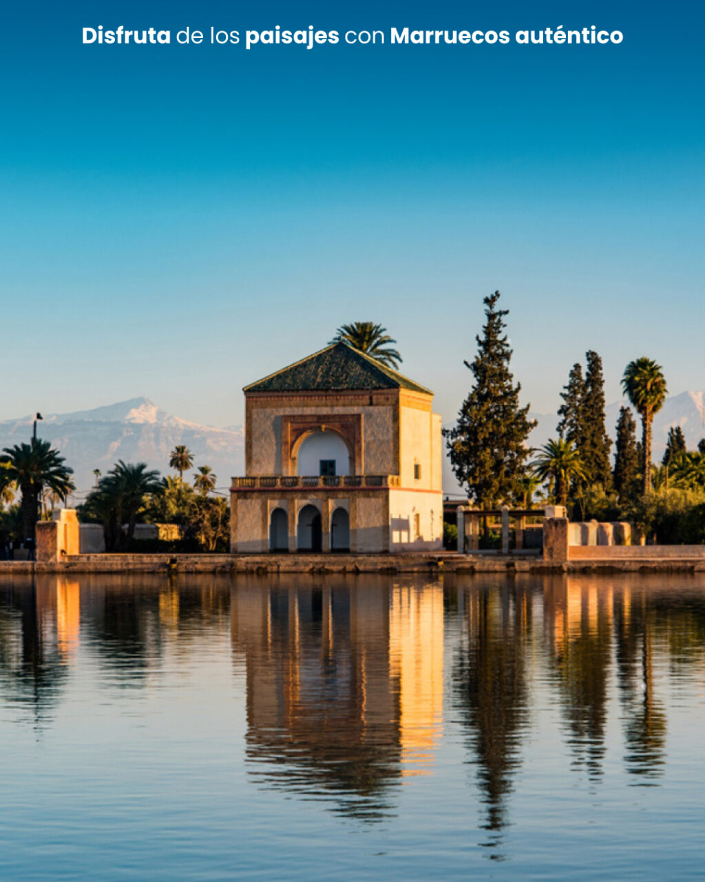 Instagram post from atipax_group. This post is in position 0.